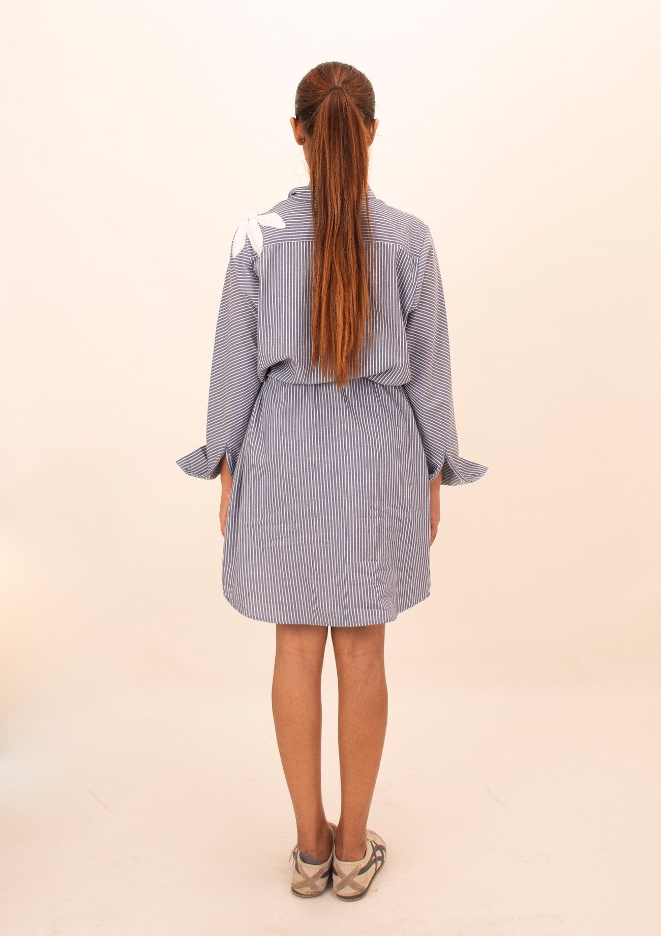 Blue and White Stripe Cotton Dress with Embroidery