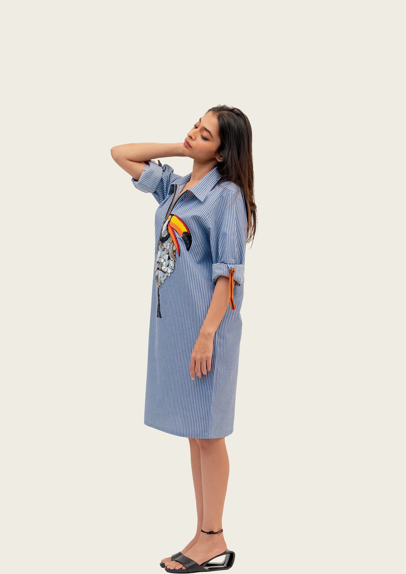 Blue and White Stripe Cotton Dress with Embroidery