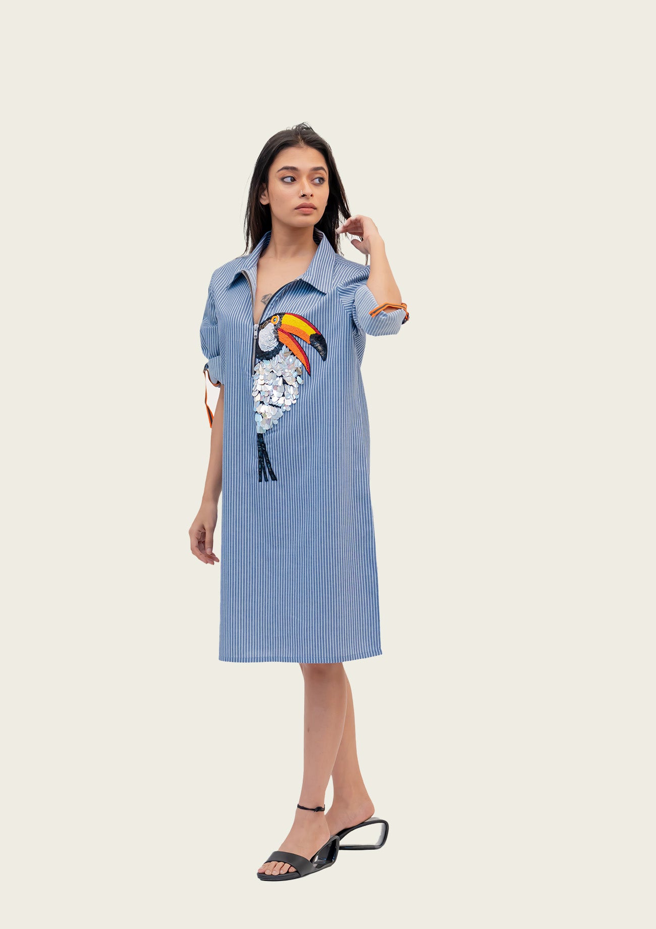 Blue and White Stripe Cotton Dress with Embroidery