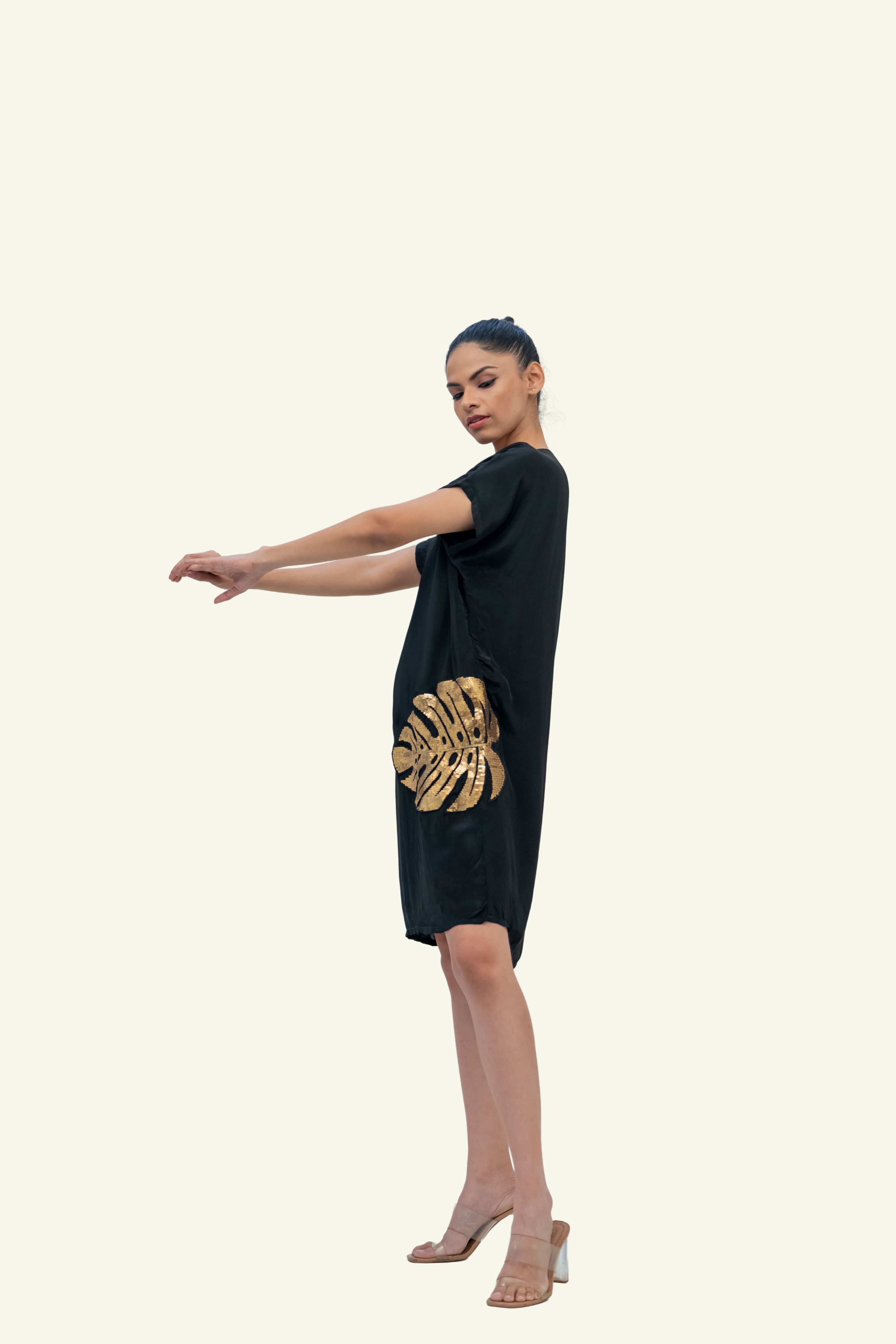 Black Crepe Dress with Dull Gold Embroidery
