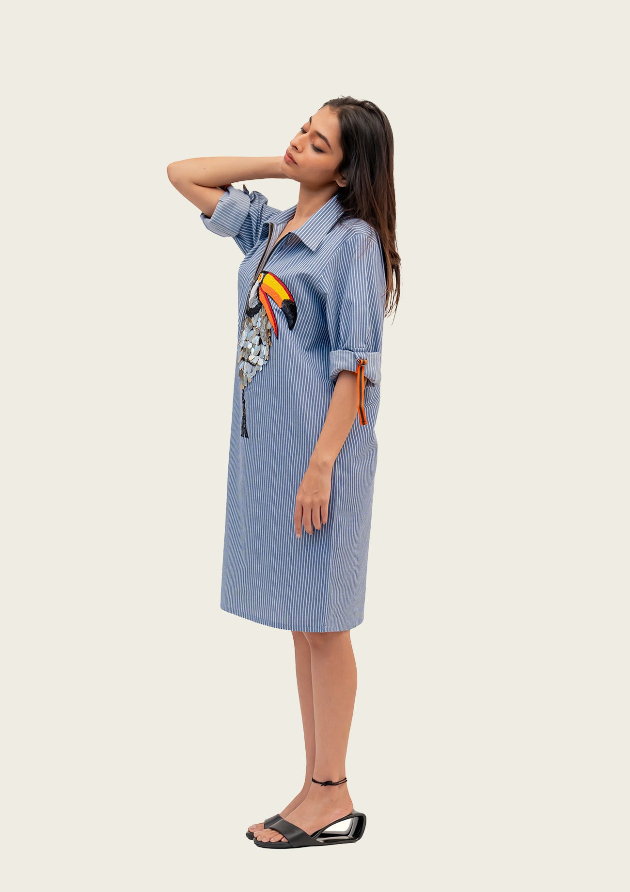 Blue and White Stripe Cotton Dress with Embroidery