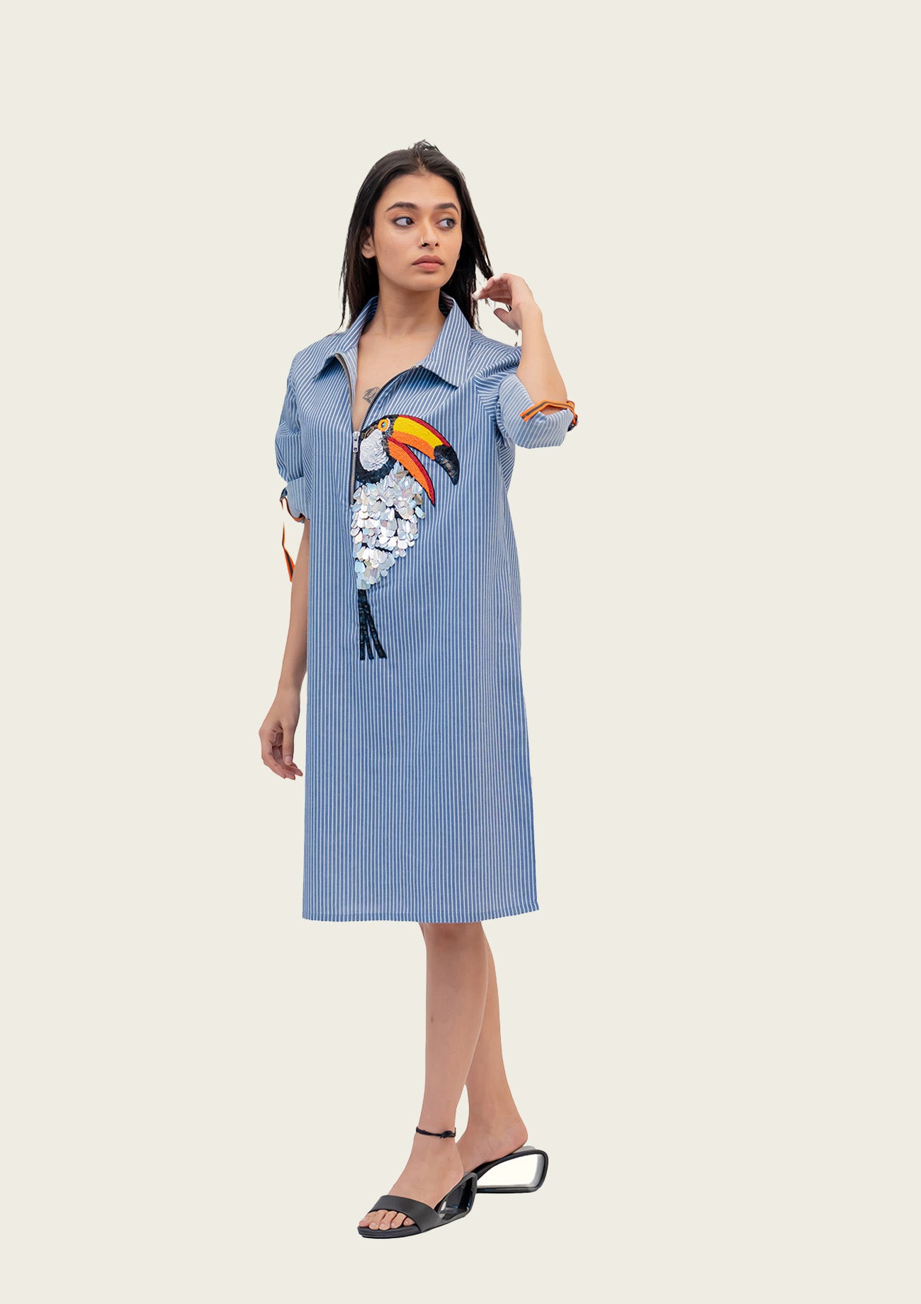 Blue and White Stripe Cotton Dress with Embroidery